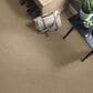 Shaw Find Your Comfort NS Blue Carpet in Falling Leaves, , large