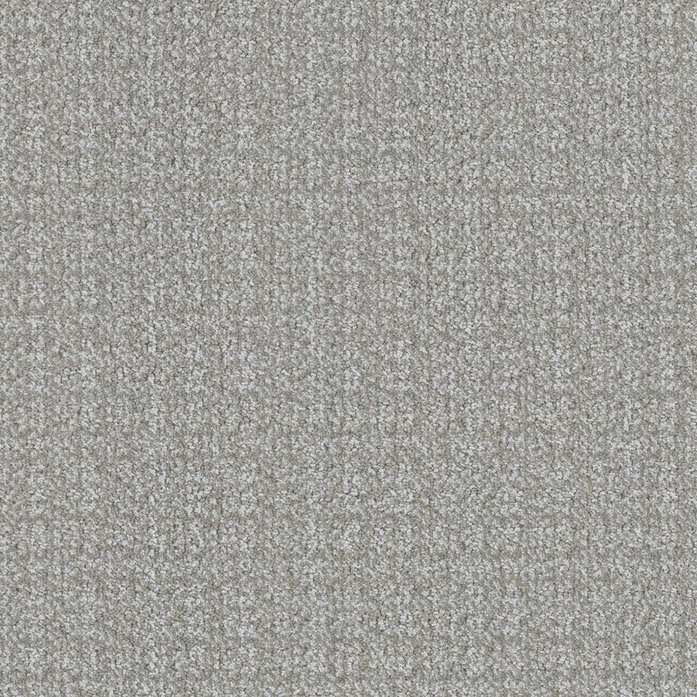 Masland Highbred Carpet in Shar-Pei, , large