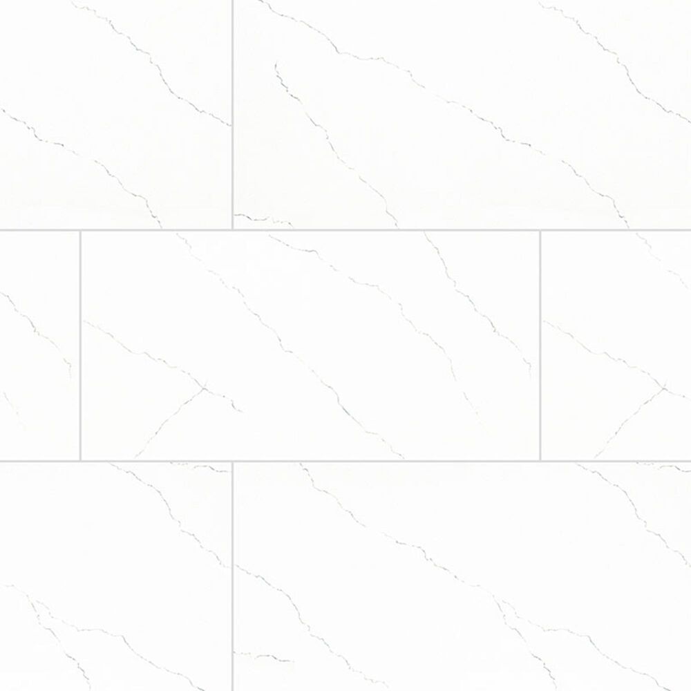 MS International Miraggio Gray 24" x 48" Polished Porcelain Tile, , large