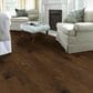 Shaw 3/8" (23.66/Ctn) 5" Hardwood in Pathway, , large