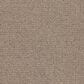 Masland Remarkable Carpet in Driftwood, , large