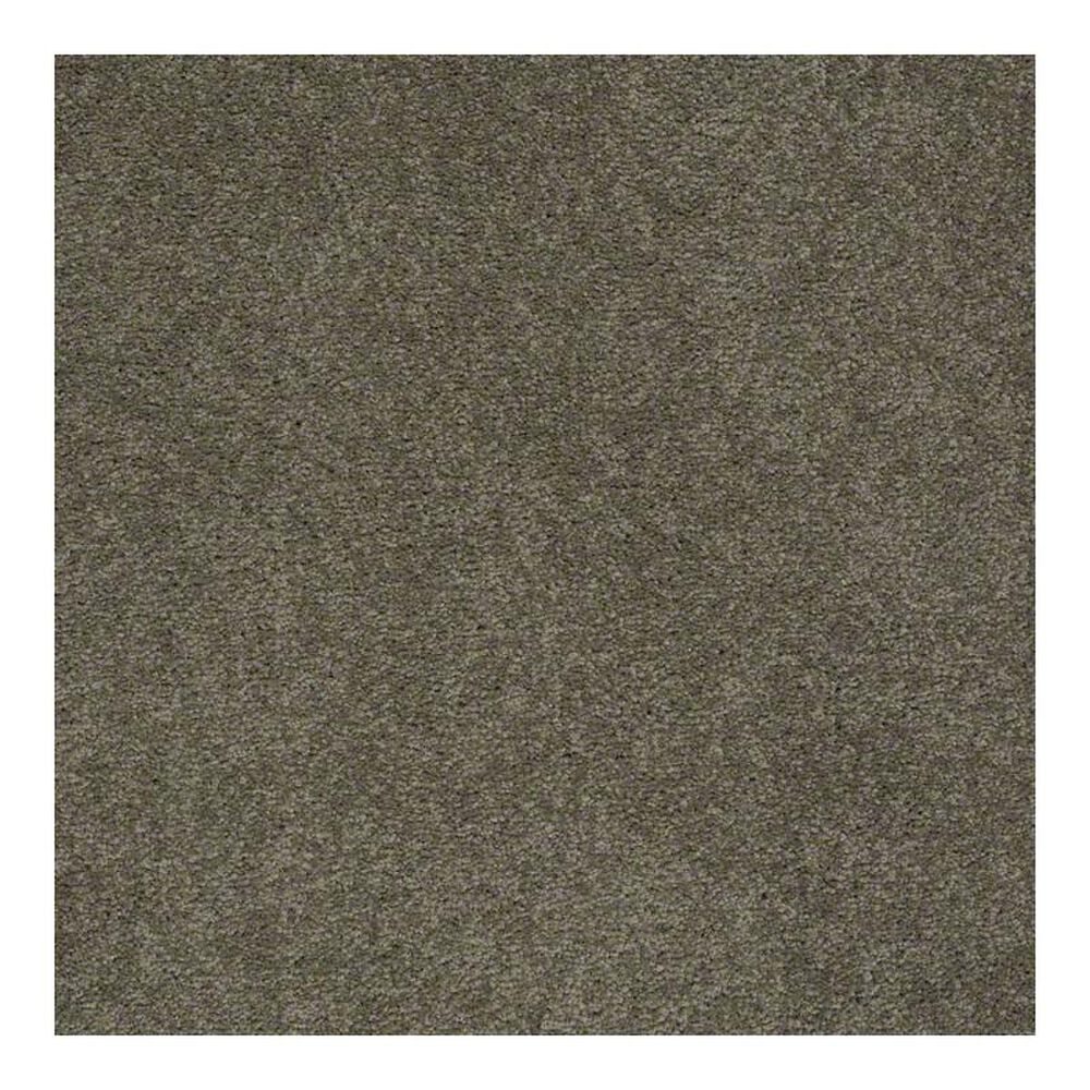 Anderson Tuftex Bear Carpet in Bulldog, , large