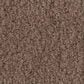 Anderson Tuftex Luxe Feel II Carpet in Pebble Path, , large