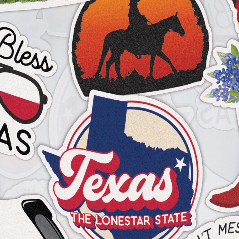 Carson Gifts Texas 24 Oz Tumbler in Multicolor, , large