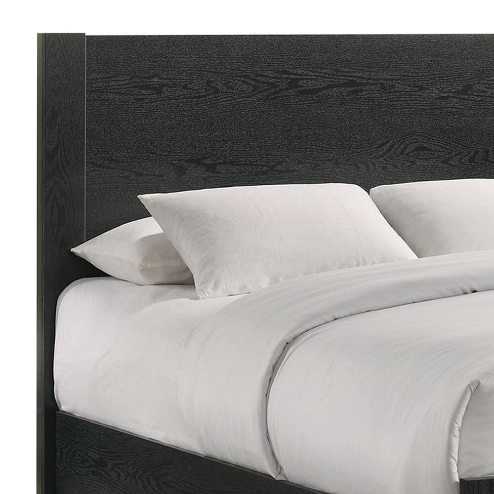 Mayberry Hill South Bend Queen Panel Bed in Black, , large