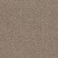 Mohawk Quality Feeling Carpet in Arctic, , large