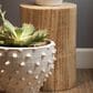 Splendor Living Agave Side Table in Brown, , large