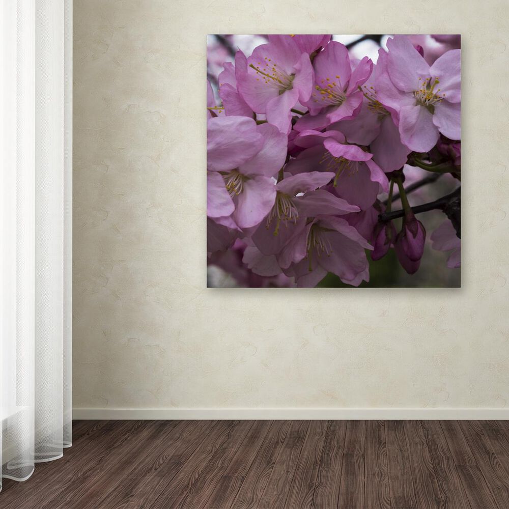Timberlake 14&quot; x 14&quot; Cherry Blossom Cluster Canvas Art, , large