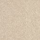 Revolution Mills Momentum II Carpet in Coastal, , large