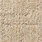 Anderson Tuftex Wanderer Carpet in Straw, , large