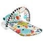 Fisher Price Glow and Grow Kick and Play Piano Gym Baby Playmat with Musical Learning Toy in Blue, , large