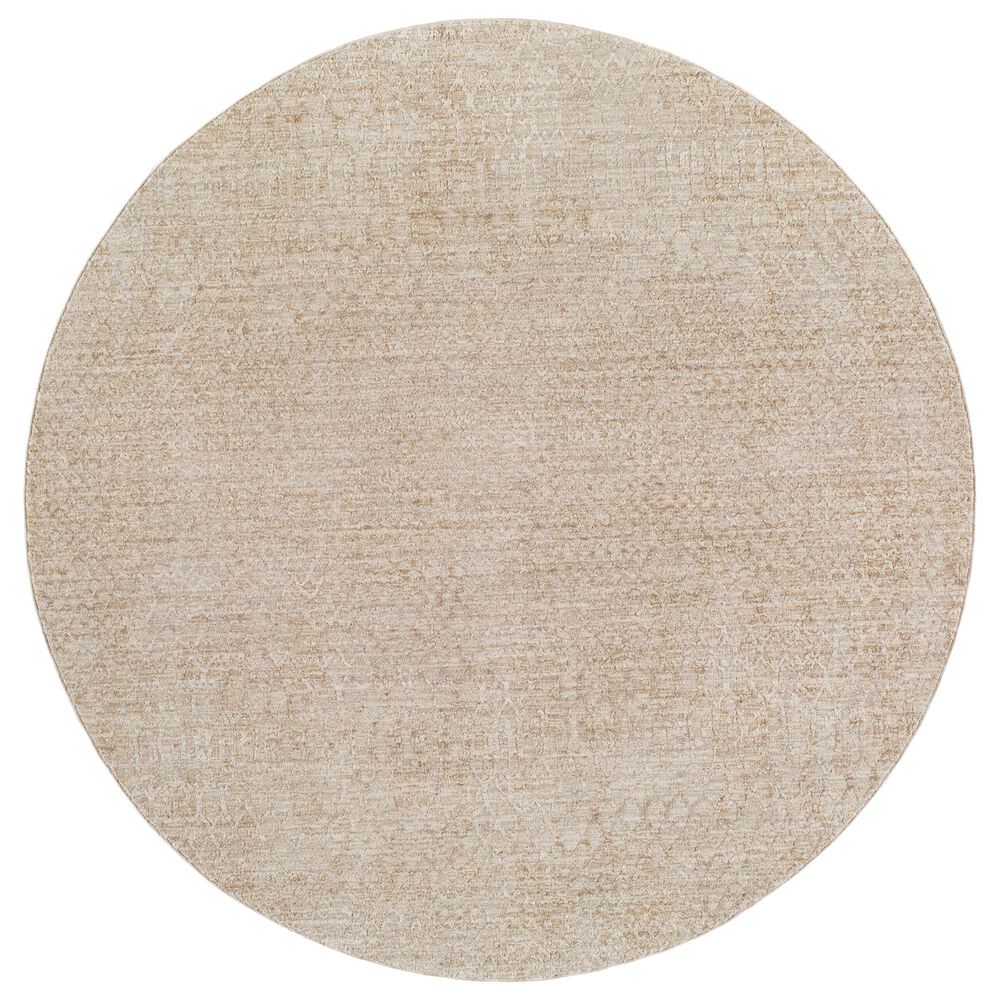 Surya Masterpiece MPC-2303 Medium Gray and Light Gray 5"3" Round Area Rug, , large