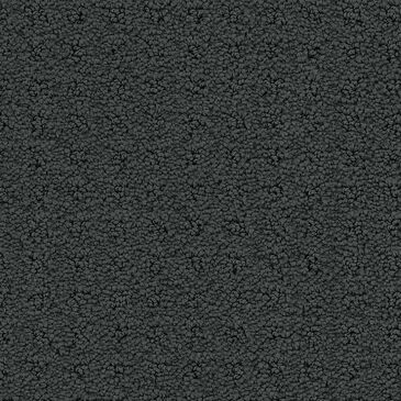 Phenix Debut Carpet in Exhibition, , large