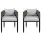 Blue River Alegria Outdoor Dining Chair with Light Grey Cushion in Black (Set of 2), , large