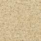 Dixie Home Debut Carpet in Grey Tweed, , large