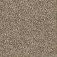 Philadelphia Making The Rules II Carpet in Biscotti, , large