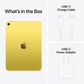 Apple 11-Inch iPad A16 Chip Wi-Fi + Cellular 256GB in Yellow (Latest Model), , large
