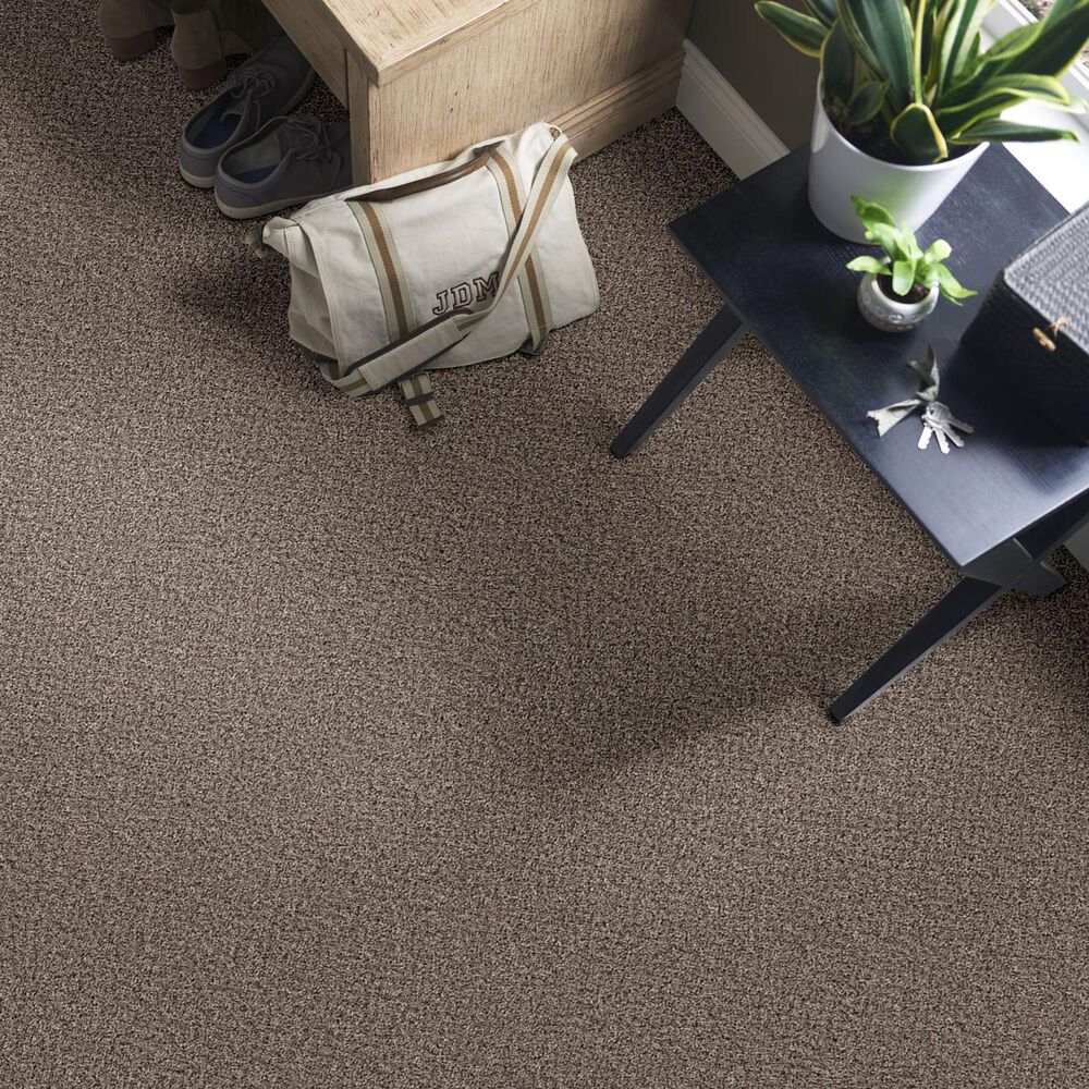 Philadelphia Mixed Essentials Carpet in Burro Brown, , large