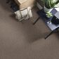 Philadelphia Mixed Essentials Carpet in Burro Brown, , large