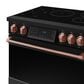 Thor Kitchen Gordon Ramsay 6 Cu. Ft. Professional Induction Range with Rose Gold Handle Kit in Stainless Steel, , large