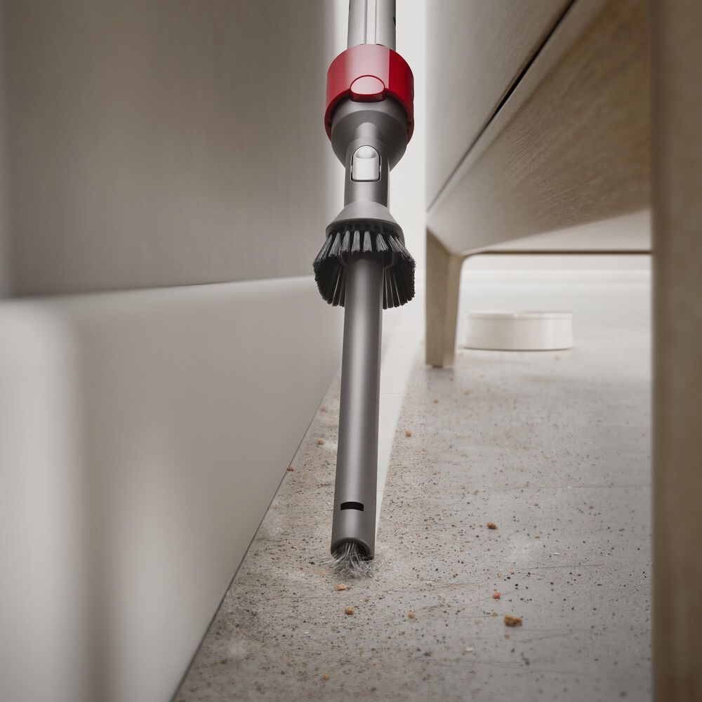 Dyson Ball Animal 3 Extra Corded Vacuum in Nickel and Silver, , large