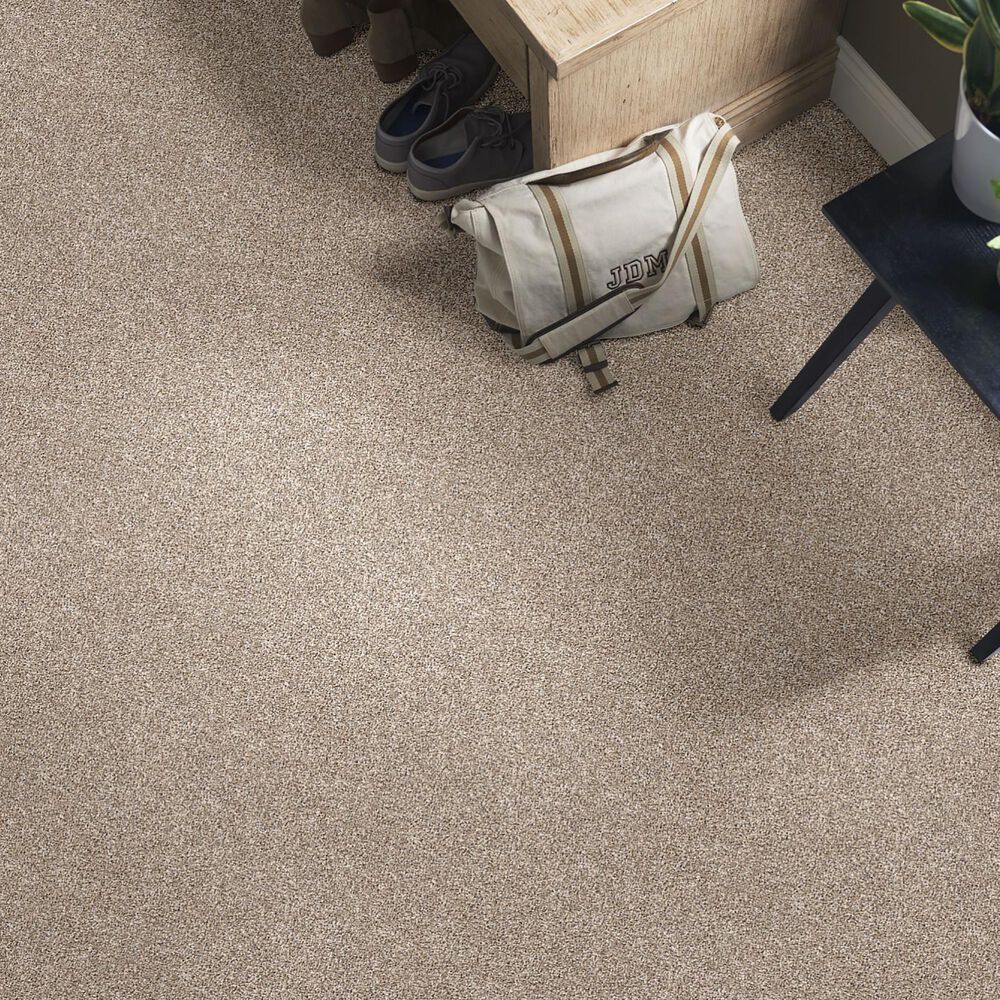 Shaw Simply the Best After It I Carpet in Neutral Ground, , large