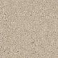 Shaw New Memories T Carpet in Dune View, , large