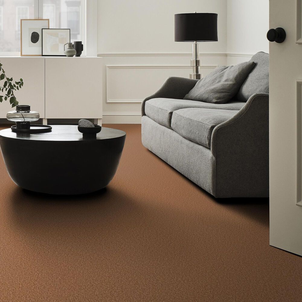 Shaw Tonal Comfort I Carpet in Sunrise, , large