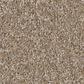 Shaw Imaginable I Carpet in Raw Wood, , large