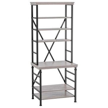 Furniture of America Levine Bookcase in Black/White, , large