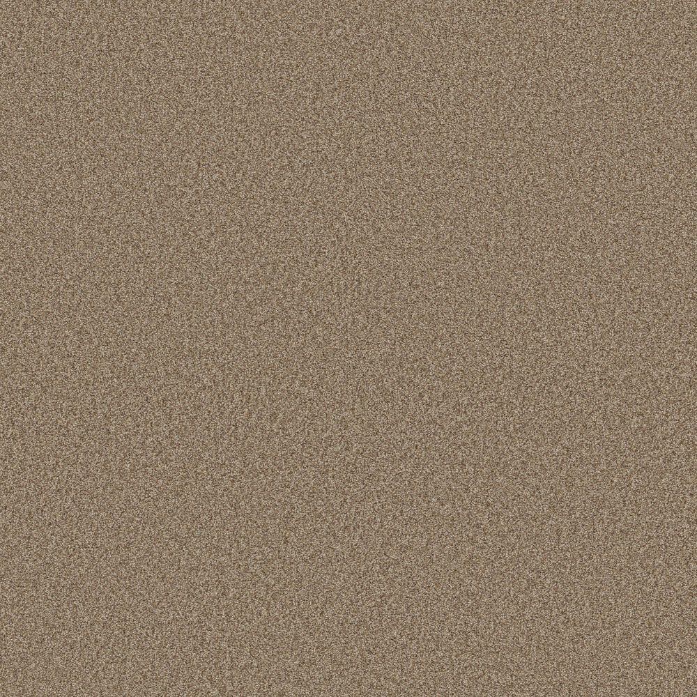 Shaw Comforting II Carpet in Studio, , large