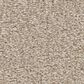 Shaw Way To Go II Carpet in Adobe Sand, , large