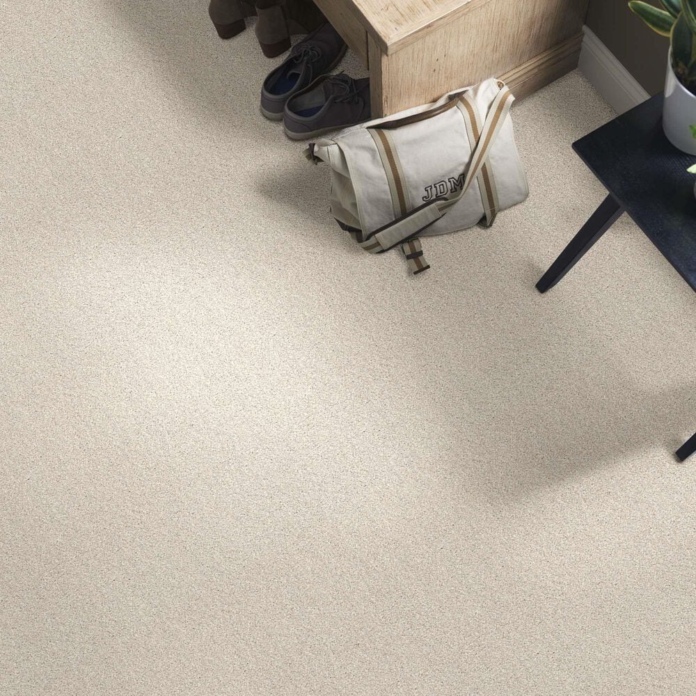 Anderson Tuftex Caress Cozy Harbor I Carpet in Delicate Cream, , large