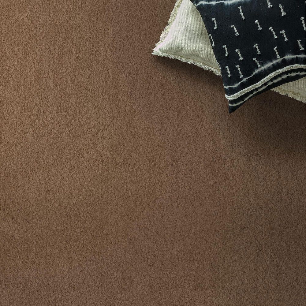Anderson Tuftex Luxe Feel II Carpet in Radiance, , large