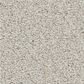 Shaw Tonal Comfort II Carpet in Whitewashed Frame, , large