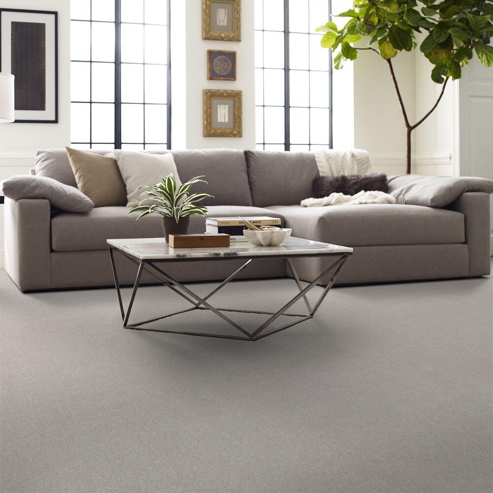Shaw Hard At Play I Carpet in Frozen, , large