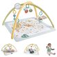 Fisher Price Simply Senses Newborn Gym Baby Activity Mat With 6 Sensory Toys, , large