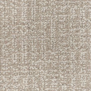 Dixie Home Affinity Carpet in Mineral, , large