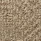 Anderson Tuftex Luna Carpet in Bay Shore, , large