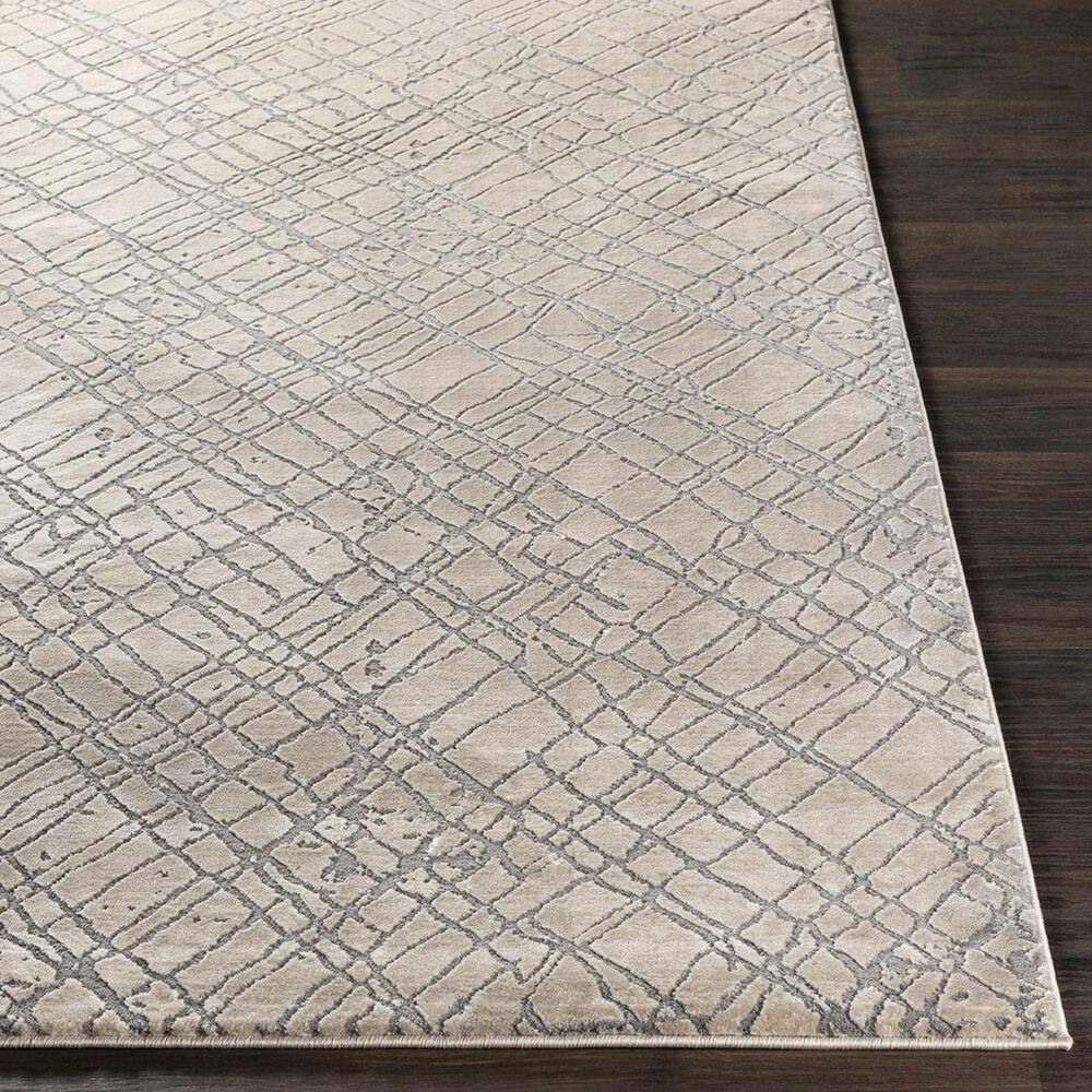 Surya Tibetan TBT-2314 2&#39; x 3&#39; Gray, Cream and Taupe Runner, , large