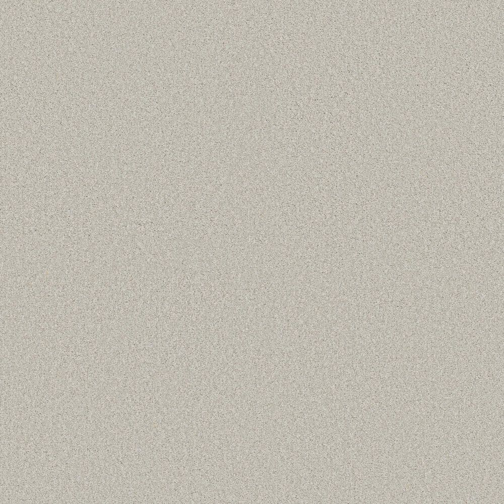 Shaw Pure Comfort I Carpet in Whitewashed Frame, , large