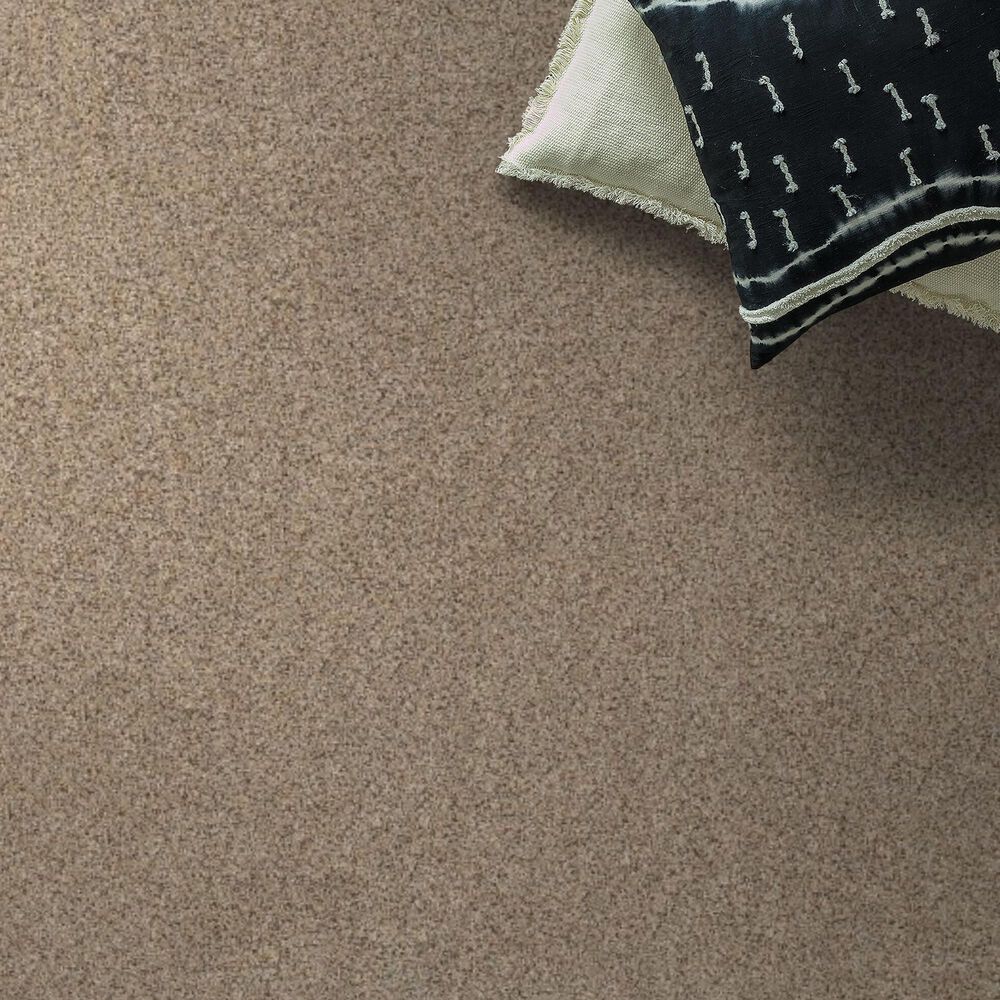 Anderson Tuftex West Peak Carpet in Crushed Pearl, , large