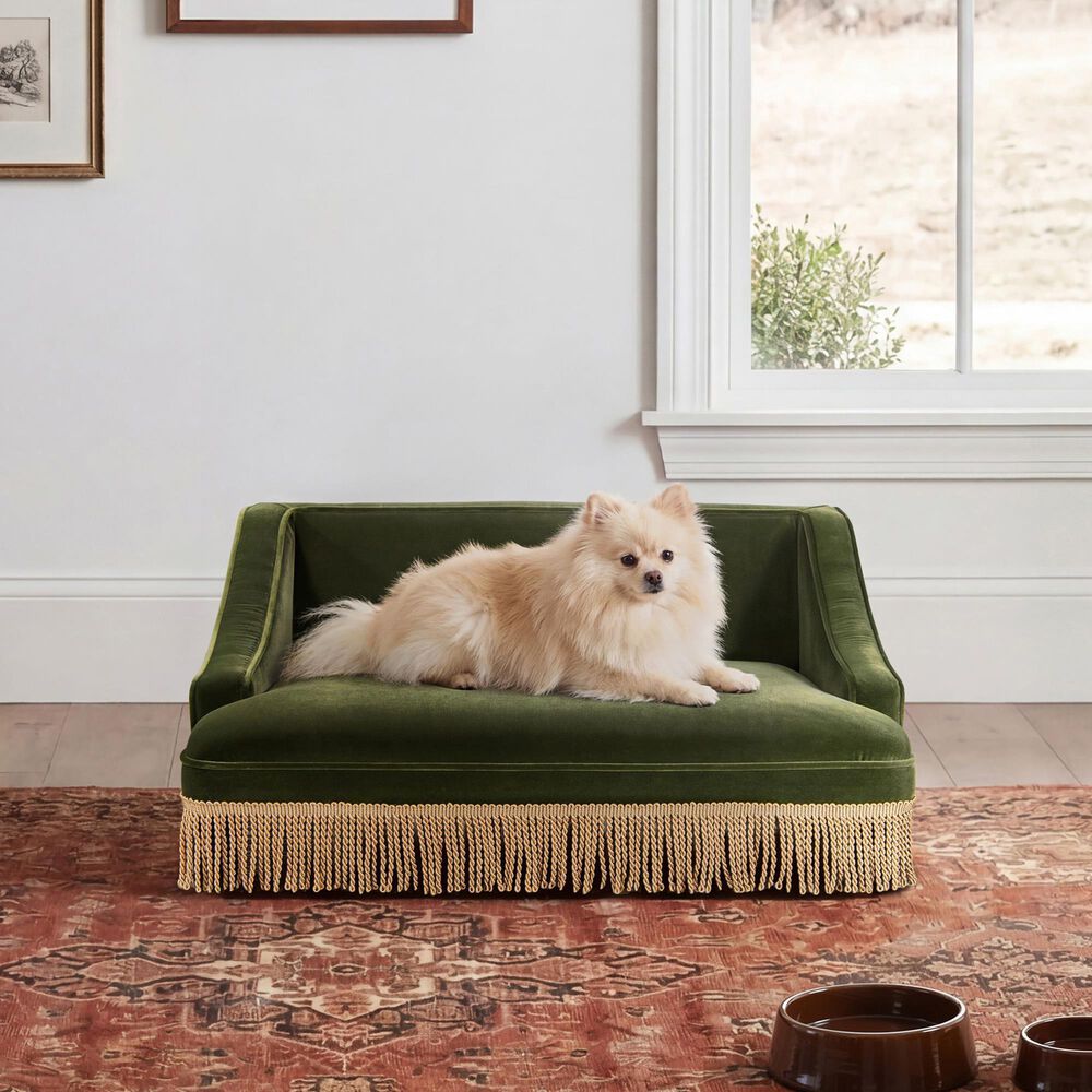 Jennifer Taylor Home Duchess 33" Medium Princess Pet Bed Sofa with Fringe Skirt in Olive Green, , large