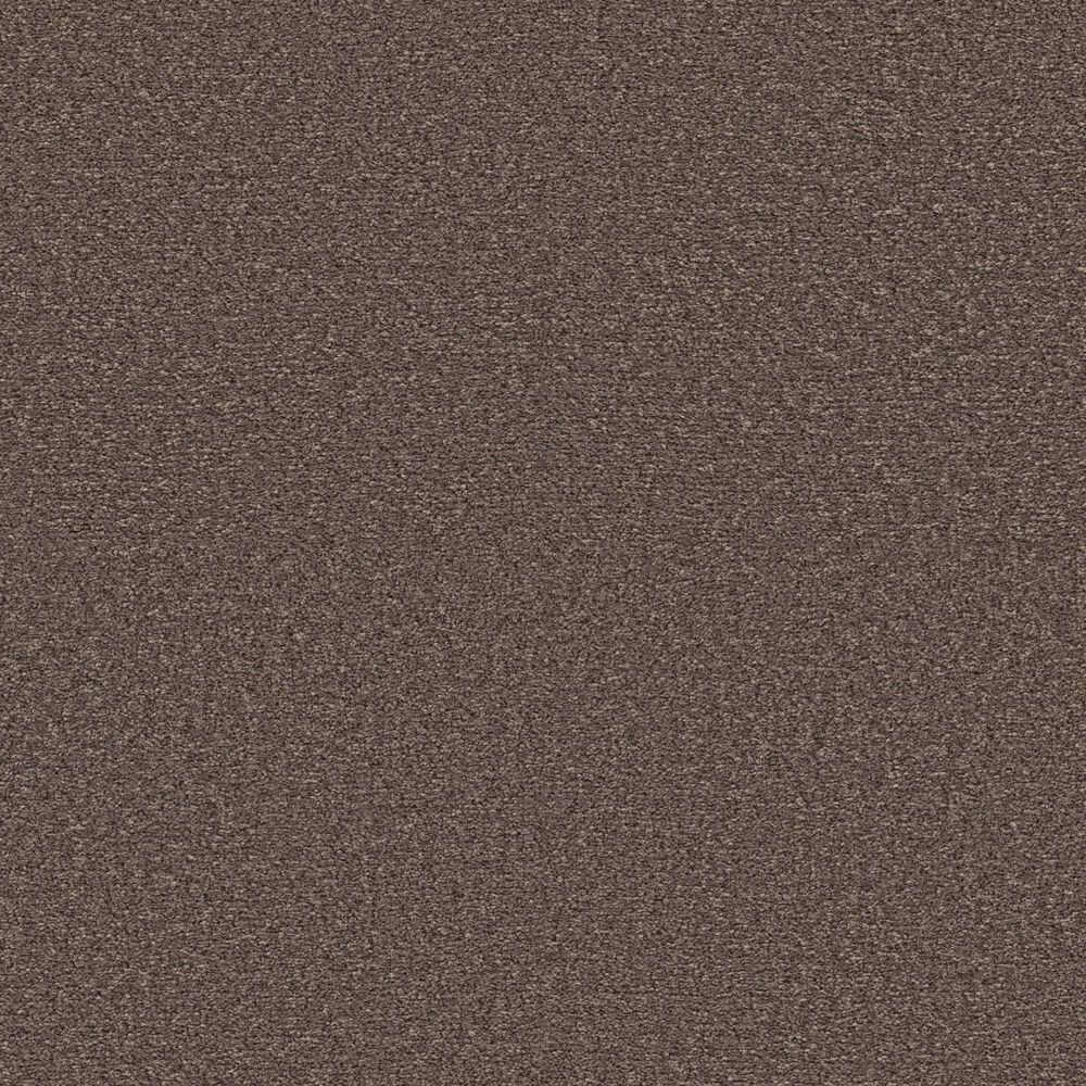 Shaw Ultra Lush Carpet in Mantra, , large