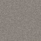 Godfrey-Hirst Candor Carpet in Alpine, , large