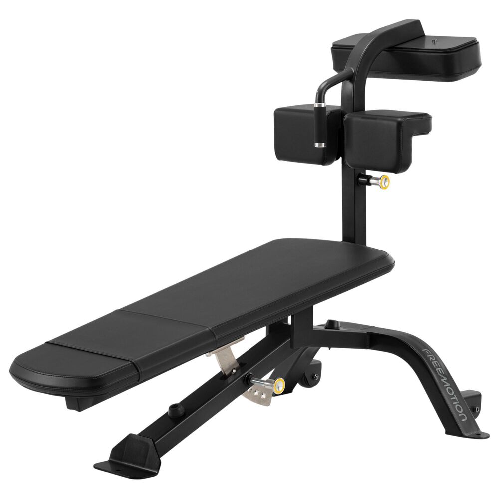 FreeMotion Abdominal Bench in Black, , large