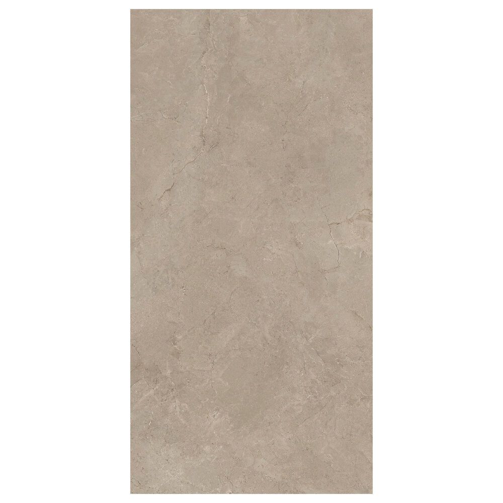 Emser Terramor Fulvo 24" x 47" Porcelain Tile, , large