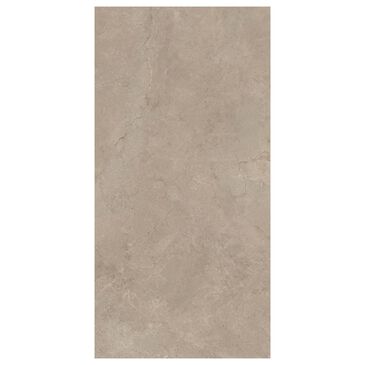 Emser Terramor Fulvo 24" x 47" Porcelain Tile, , large