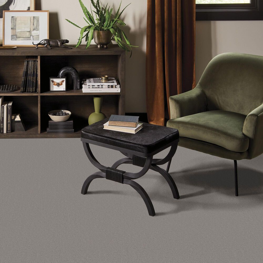 Anderson Tuftex Finery Carpet in Stone, , large