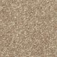 Shaw Hard At Play II Carpet in Worn Path, , large
